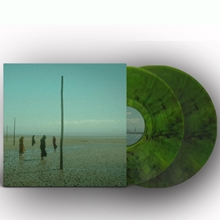 Picture of In All Her Forms (Green/Black Marbled 2LP)