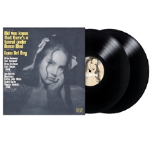 Picture of DID YOU KNOW THAT THERE(LP  by LANA DEL REY