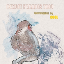 Picture of Quintessence Du Cool  by Benoit Paradis Trio