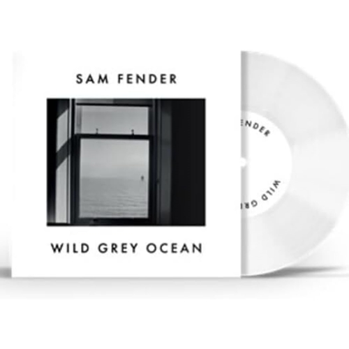 Picture of WILD GREY OCEAN/LITTLE(RSD by SAM FENDER