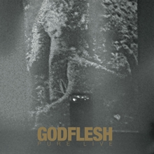 Picture of Pure Live  by Godflesh