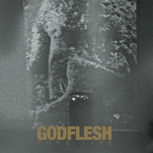 Picture of Pure Live  by Godflesh