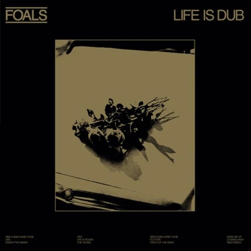 Picture of Life is Yours (Dub) [Gold] [RSD23 EX]  by Foals