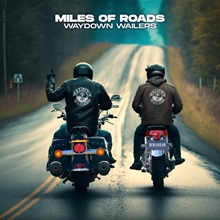 Picture of Miles Of Roads  by Waydown Wailers