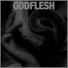 Picture of Purge  by Godflesh