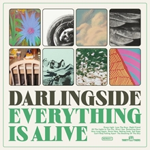 Picture of Everything Is Alive  by Darlingside