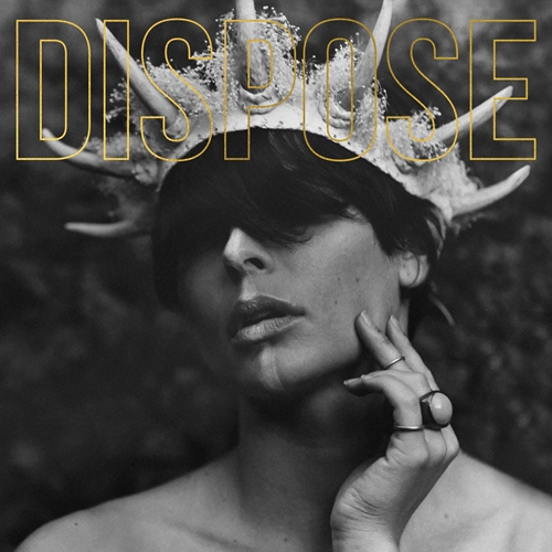 Picture of DISPOSE(5TH ANNIV/LP)  by THE PLOT IN YOU