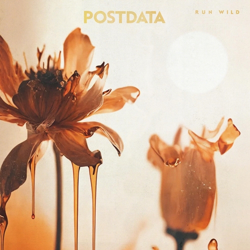 Picture of RUN WILD(LP)  by POSTDATA