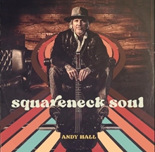 Picture of Squareneck Soul (LP)  by VARIOUS ARTISTS