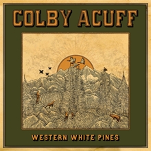 Picture of Western White Pines  by Colby Acuff