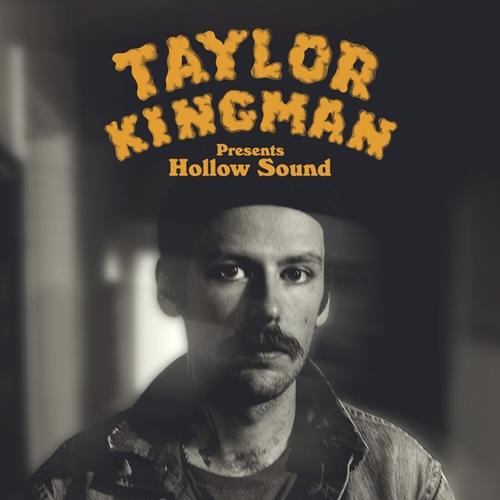 Picture of Hollow Sound  by Taylor Kingman