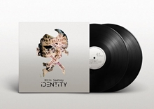 Picture of Identity  by Nitin Sawhney