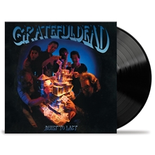 Picture of Built To Last  by Grateful Dead