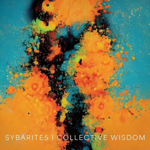 Picture of Collective Wisdom (LP)  by Sybarite5