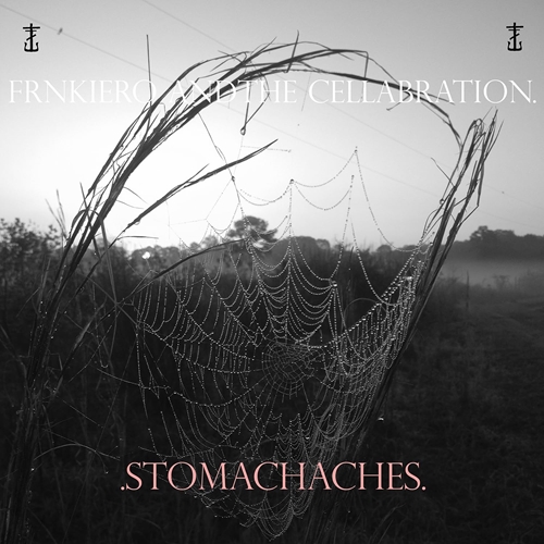 Picture of STOMACHACHES (LP)  by FRNKIERO AND THE CELLABRATION