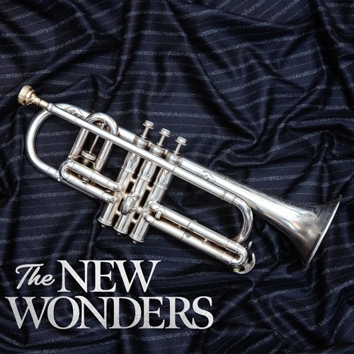 Picture of The New Wonders (LP)  by The New Wonders