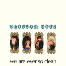 Picture of We Are Ever So Clean: Remastered Vinyl Edition