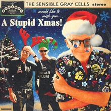 Picture of A Stupid Xmas!