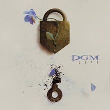 Picture of Life (Vinyl)  by Dgm