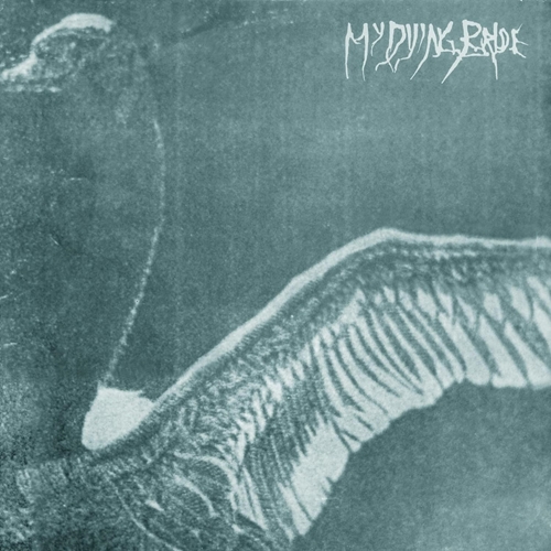 Picture of Turn Loose The Swans (30th Anniversary Marble Edition) (Vinyl)  by My Dying Bride