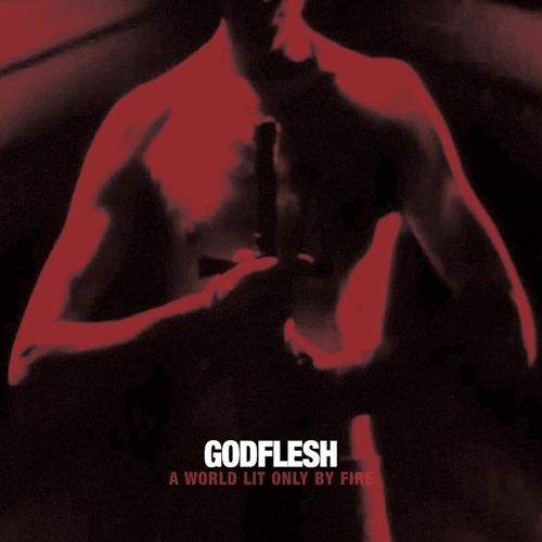 Picture of A World Only Lit  by Godflesh