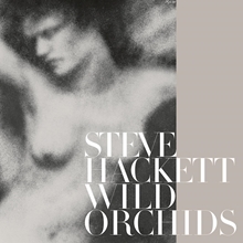 Picture of Wild Orchids (Vinyl Re-Issue 2023) (LP)  by Steve Hackett