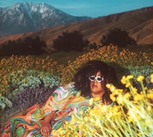 Picture of WHAT NOW (LP)  by BRITTANY HOWARD