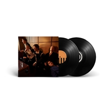 Picture of HOW HAVE YOU BEEN? (LP)  by GIANT ROOKS