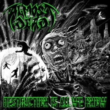 Picture of Destruction Is All We Know (LP)  by Almost Dead