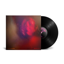 Picture of BEHOLDER (LP)  by VARIOUS