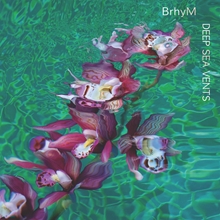 Picture of Deep Sea Vents (LP)  by Brhym