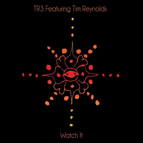 Picture of Watch It (LP)  by Tr3 Featuring Tim Reynolds