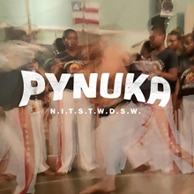 Picture of N.I.T.S.T.W.D.S.W. (LP)  by Pynuka