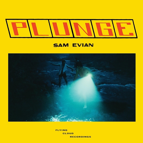 Picture of Plunge (LP)  by Sam Evian