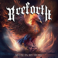 Picture of METAL IN MY HEART