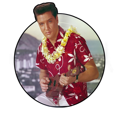 Picture of BLUE HAWAII (LTD.SHAPED PICTURE DISC)