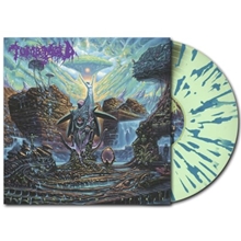 Picture of THE ENDURING SPIRIT (MINT GREEN W/ AQUA BLUE SPLATTER VINYL)