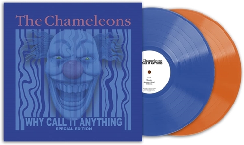 Picture of WHY CALL IT ANYTHING (2LP COLOURED VINYL)