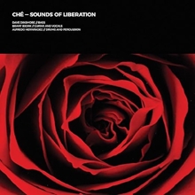 Picture of SOUNDS OF LIBERATION (WHITE/RED VINYL)