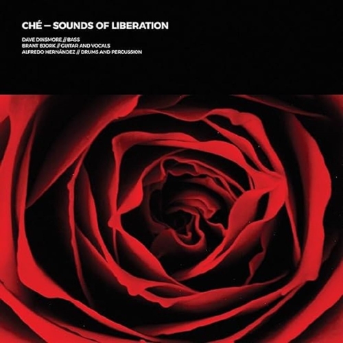 Picture of SOUNDS OF LIBERATION (WHITE/RED VINYL)