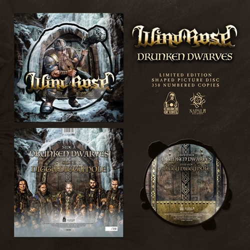 Picture of DRUNKEN DWARVES (LTD.SHAPED PICTURE DISC)