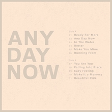 Picture of ANY DAY NOW (1LP COLOURED)