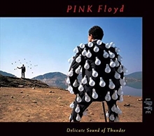 Picture of Delicate Sound Of Thunder (Live)  by Pink Floyd