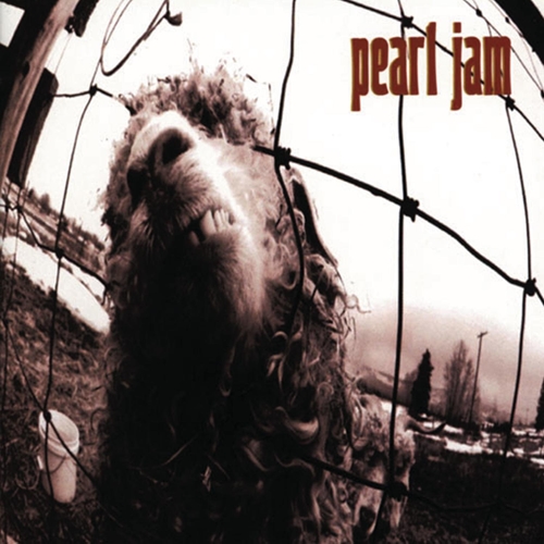 Picture of Vs.  by Pearl Jam