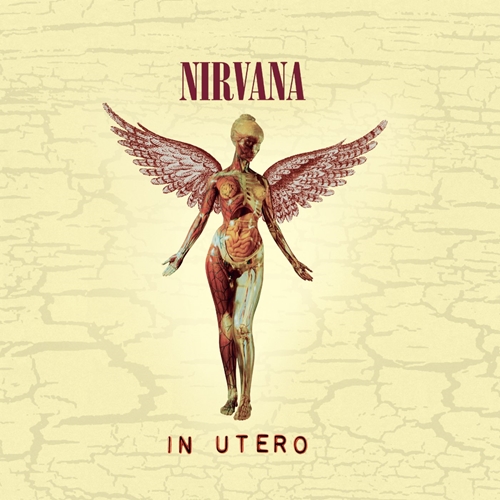 Picture of IN UTERO 20TH ANNIVERSARY  by NIRVANA