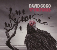 Picture of 17 VULTURES  by GOGO,DAVID