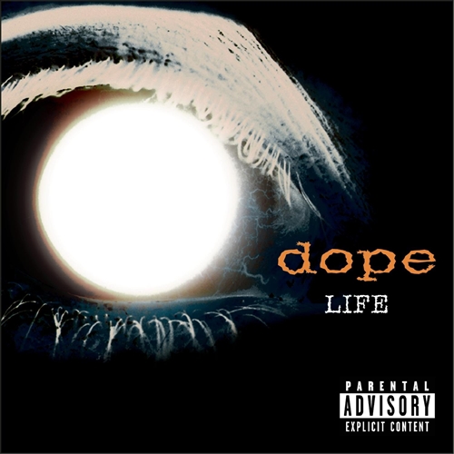 Picture of Life  by Dope