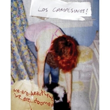 Picture of WE ARE BEAUTIFUL,WE ARE D  by LOS CAMPESINOS