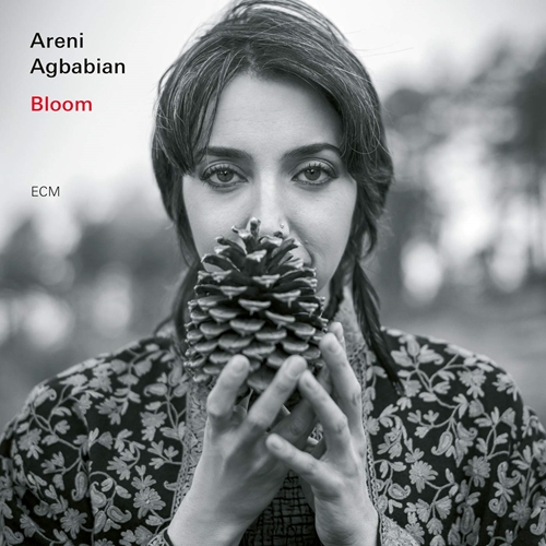 Picture of BLOOM  by AGBABIAN,ARENI/STOCKER,NIC