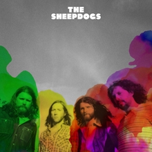 Picture of THE SHEEPDOGS  by THE SHEEPDOGS